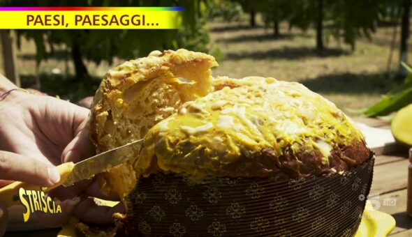 A Balestrate il panettone tropicale di Sicilia