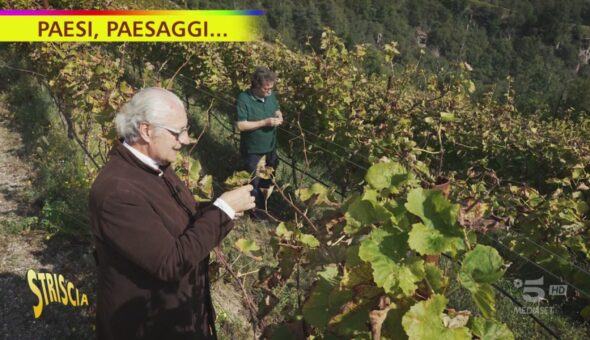 La botte perpetua del vino 