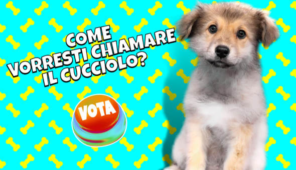 Come vorresti chiamare il cucciolo?