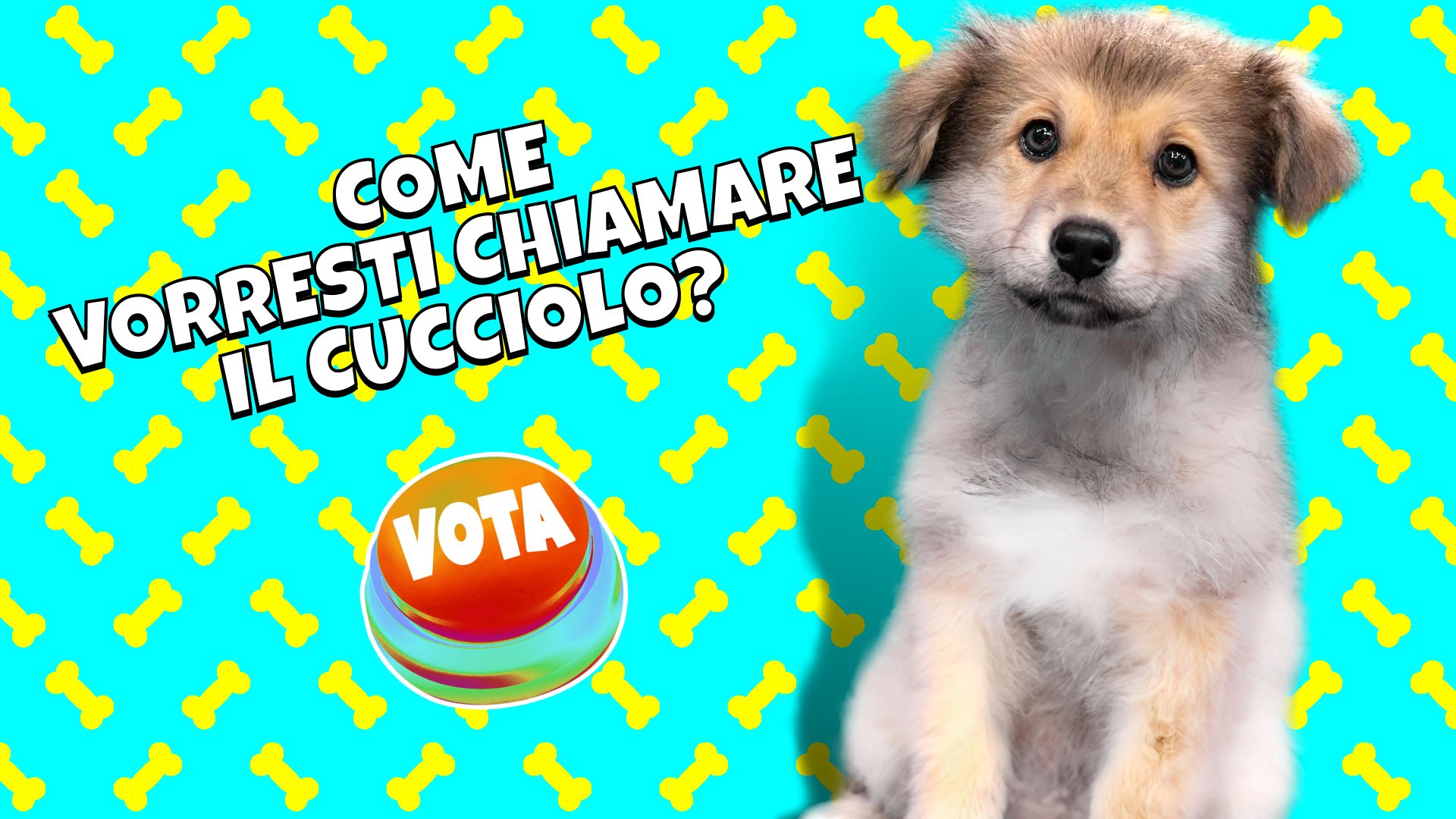 Come vorresti chiamare il cucciolo?