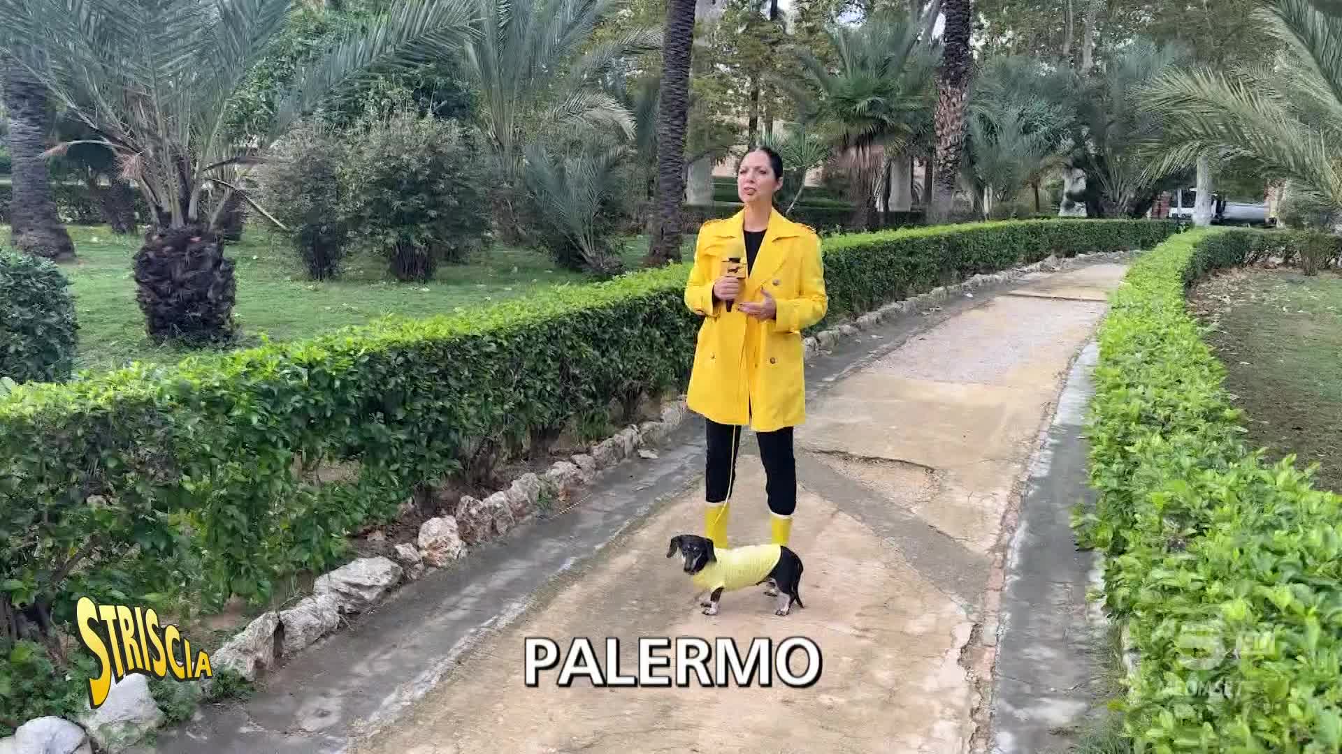 Forestali siciliani, chi ha voluto lo strano concorso?