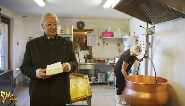Stasera a Striscia Davide Rampello e i formaggi delle regine