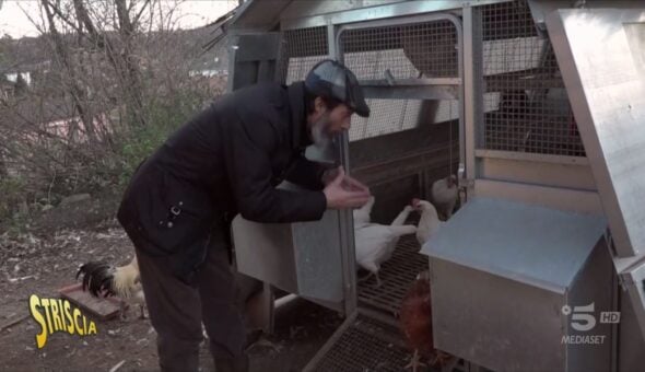 Galline al chiuso o all'aperto? È tutto scritto sull'uovo