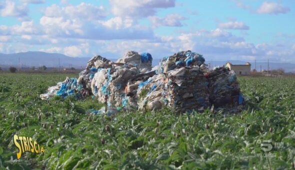 Puglia, le ecoballe ora finiscono anche nei campi coltivati