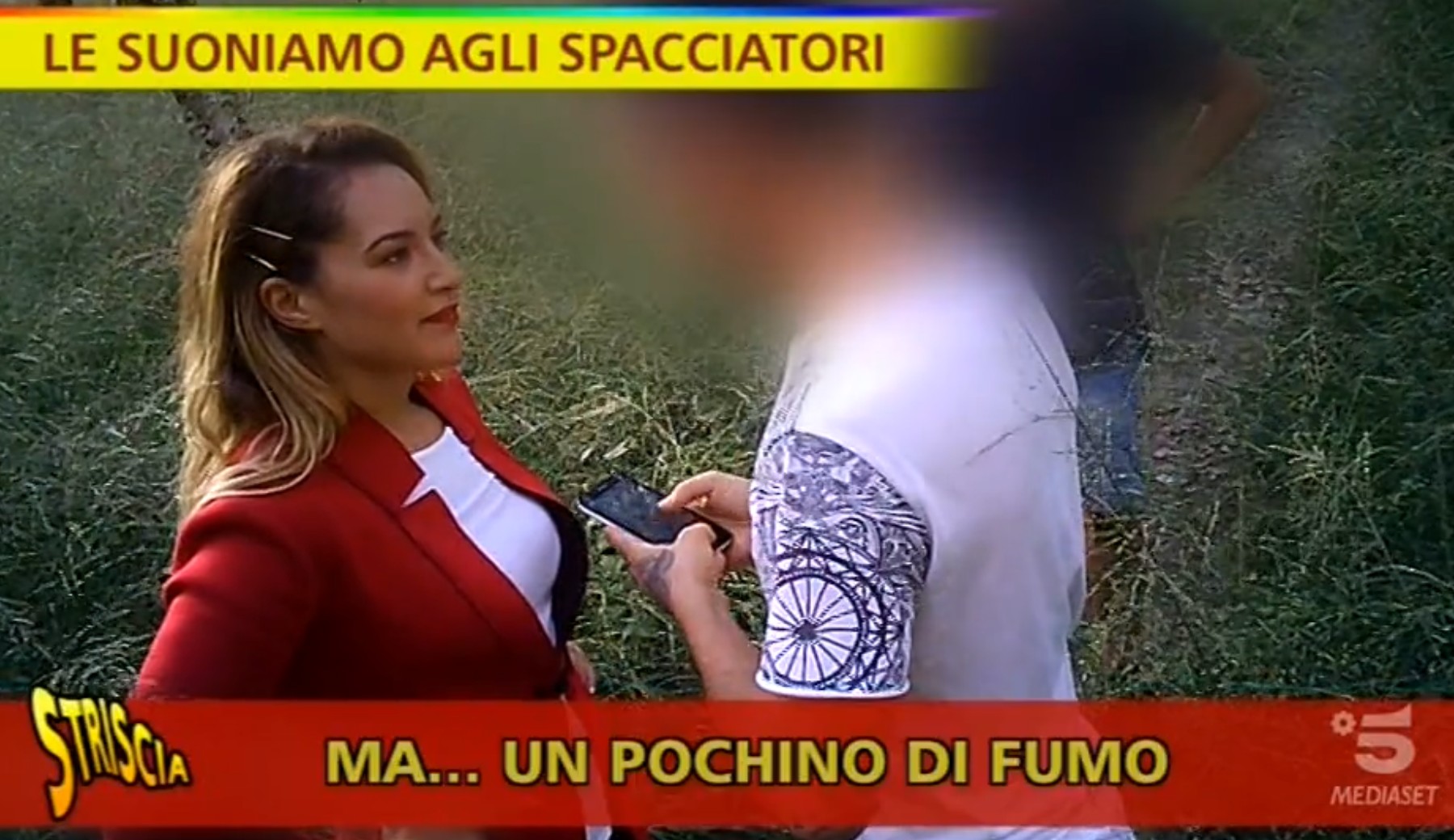 Ceriano Laghetto, 4 anni fa la liberazione del Bosco della droga