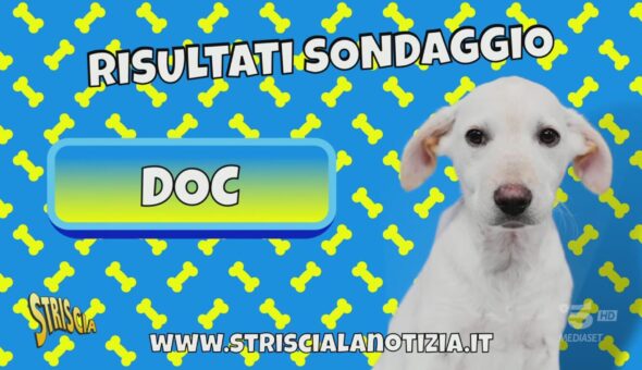 Si chiama Doc il nuovo cucciolo di Striscia la notizia