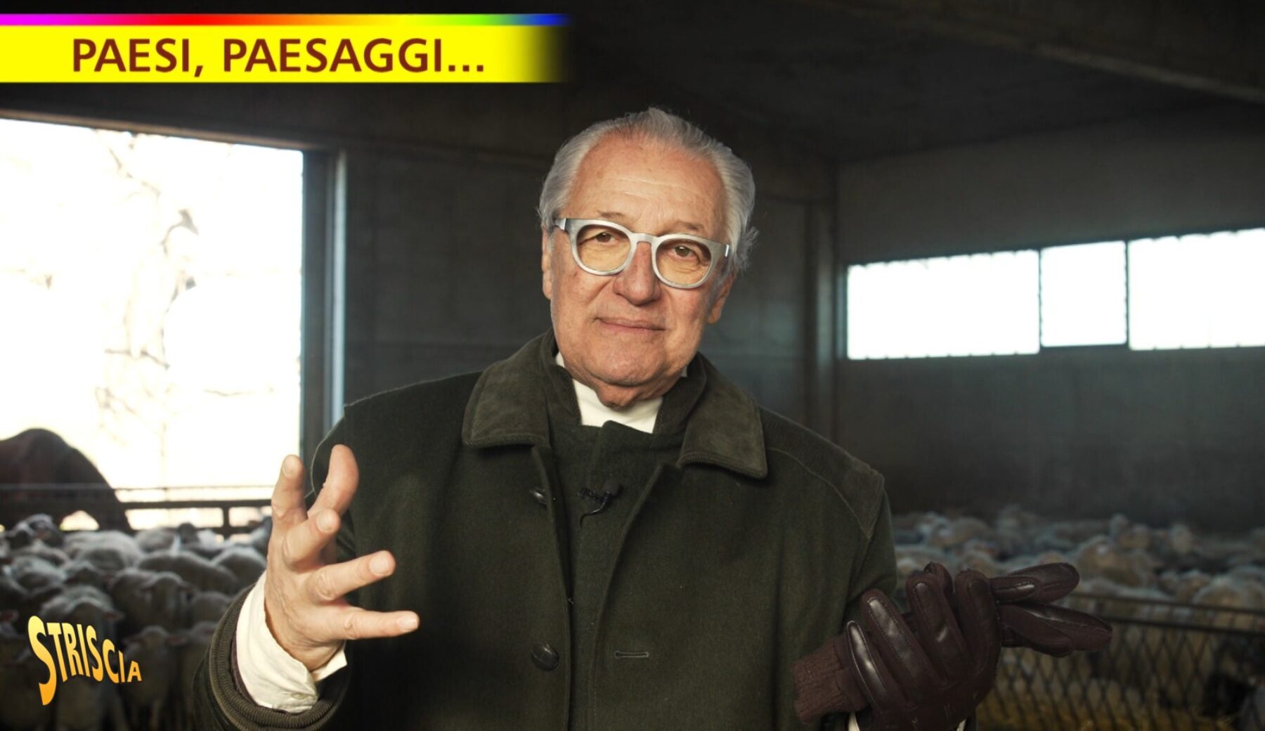Oggi a Striscia la notizia, nella rubrica “Paesi, paesaggi…” di Davide Rampello “Pecore sarde e pecorini toscani”