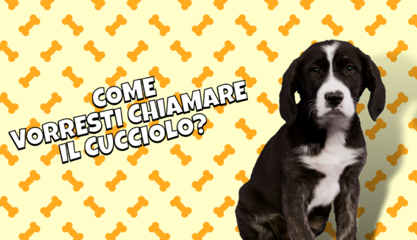 Come vorresti chiamare il cucciolo?