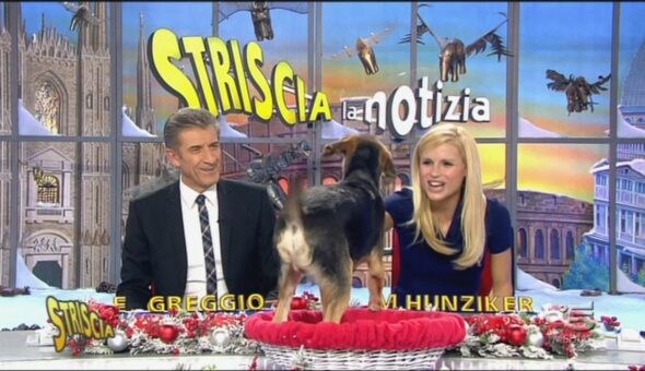 8 dicembre 2012