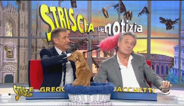 8 gennaio 2013