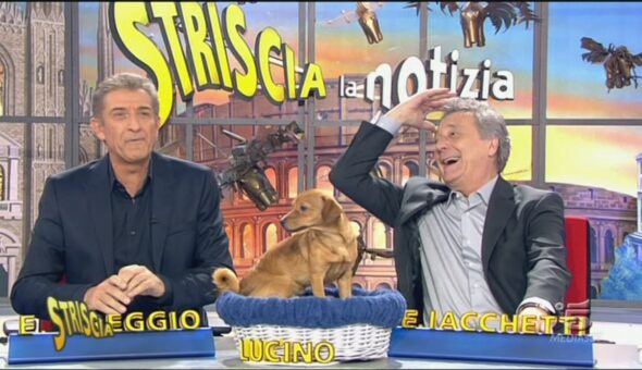 Striscia la notizia: puntata del 22 gennaio 2013