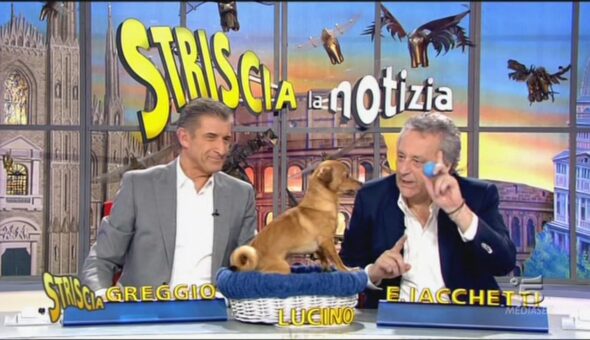 26 gennaio 2013