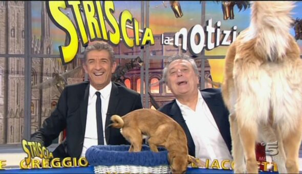 15 febbraio 2013