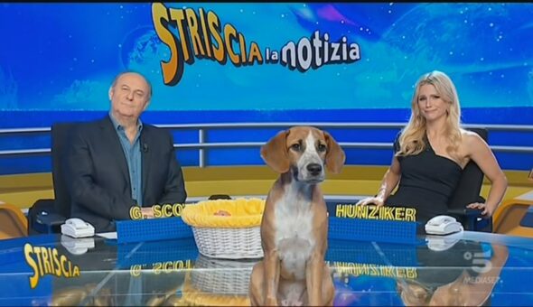 22 maggio 2020
