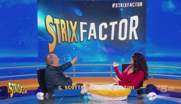 Il ritorno di StrixFactor