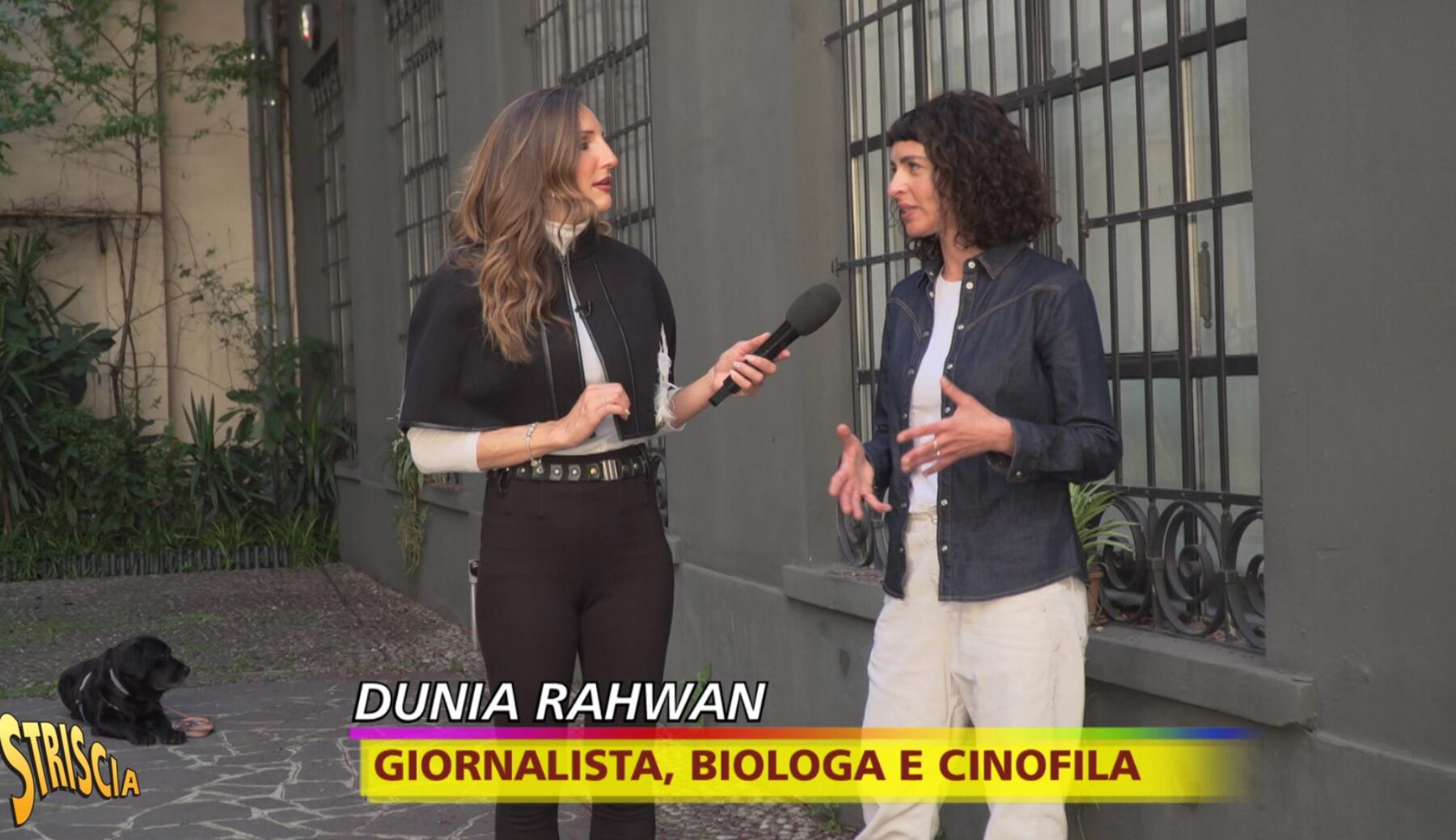 Striscia la notizia: dopo i servizi prima vittoria per i “cuccioli”. Chiude il centro di puppy yoga di Milano