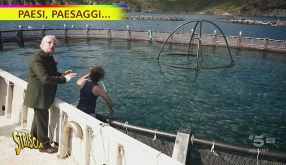 Capraia, uno degli allevamenti ittici più avanzati del Mediterraneo