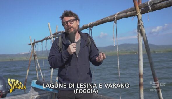 Lagune di Lesina e Varano, ostriche e allevatori in ginocchio