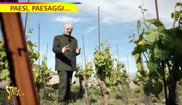 Stasera a Striscia, Davide Rampello e la viticoltura sull'Isola di Capraia