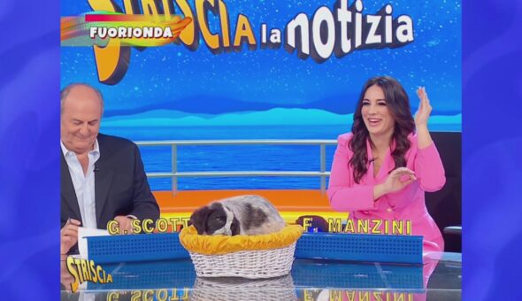 Tutto il meglio di Francesca Manzini a Striscia la notizia