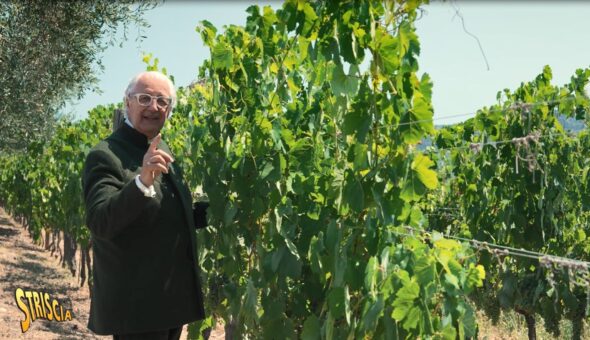 Stasera a Striscia, Davide Rampello e i vini naturali del Gargano