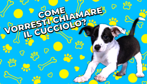 Come vorresti chiamare il cucciolo?