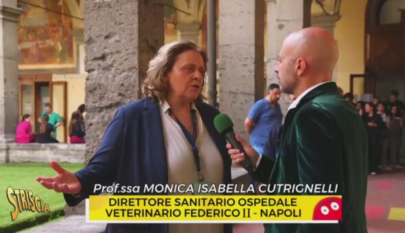 Oggi a Striscia: spedizione punitiva (e in diretta social) all'ospedale veterinario Federico II di Napoli