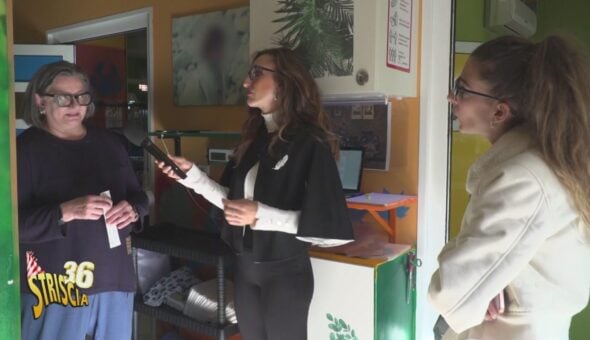 Malasanità veterinaria: a Melegnano la dottoressa che sembra 
