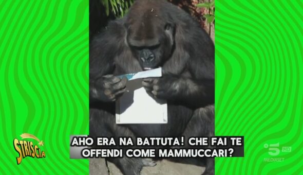 Gli Scimmioni piangono a Natale: 