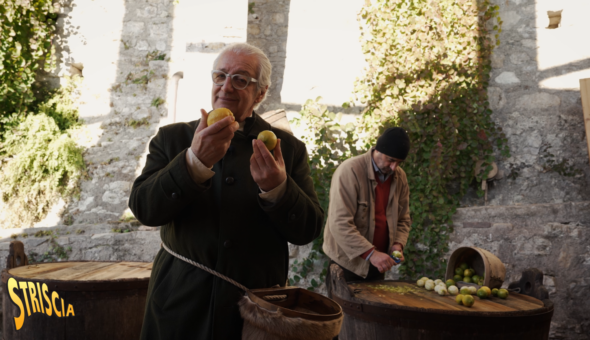 Stasera a Striscia la notizia nella rubrica “Paesi, paesaggi...” Davide Rampello e il “Limoncino giallo”