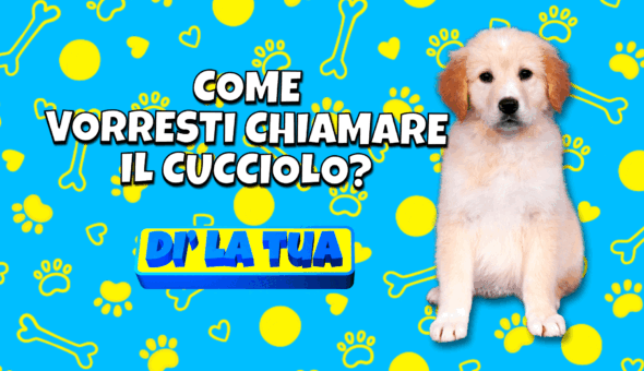 Come vorresti chiamare il cucciolo?