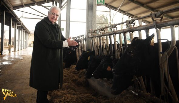 Questa sera a Striscia nella rubrica “Paesi, paesaggi...” Davide Rampello e la “carne Wagyu”