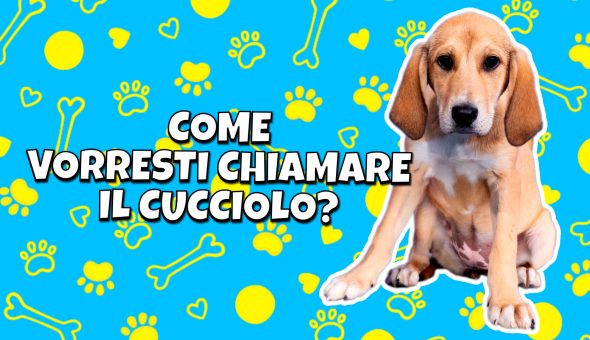 Come vorresti chiamare il cucciolo?