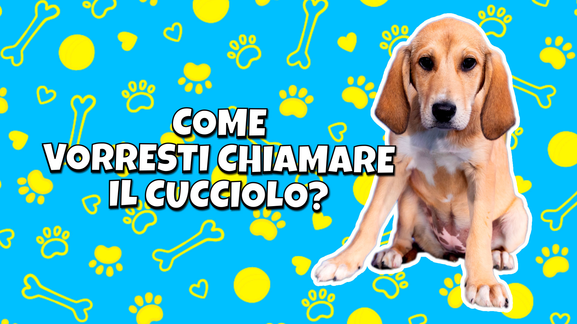 Come vorresti chiamare il cucciolo?