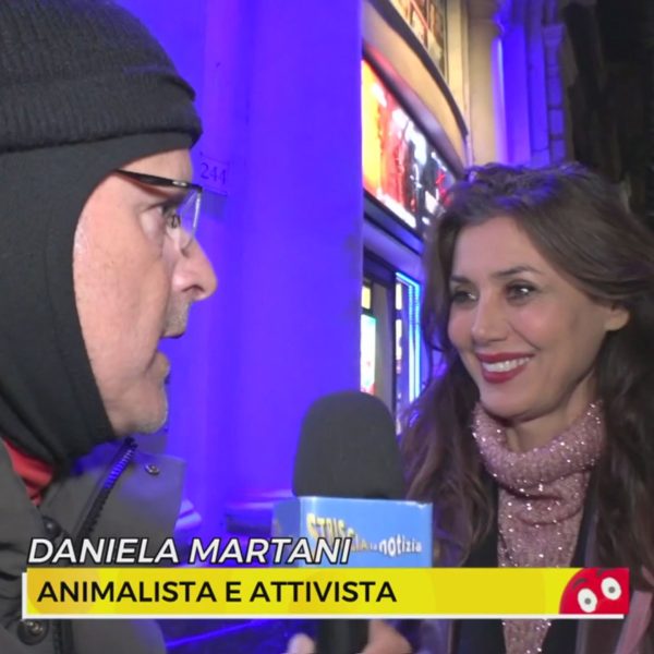 Tra Borse in affanno e nuovi dazi, dove investire? Ce lo spiega Enrico Lucci