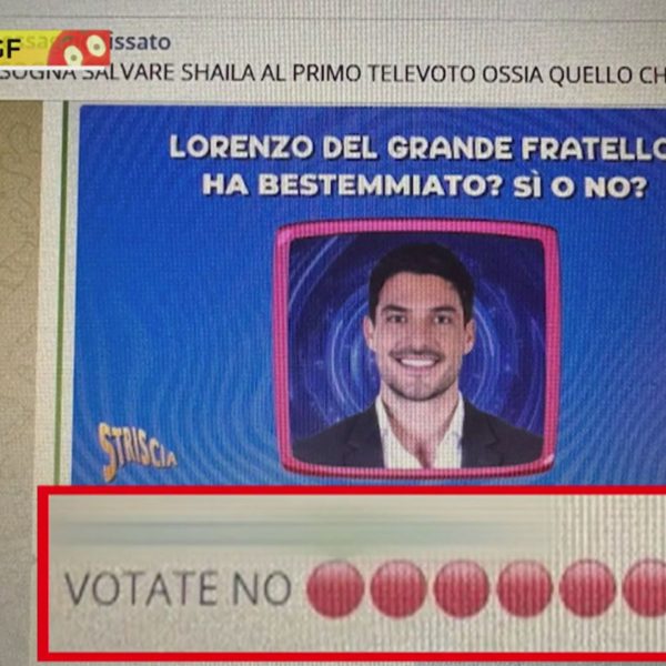 Chi decide chi viene eliminato o salvato al Grande Fratello? Dei “fanatici ben organizzati”…