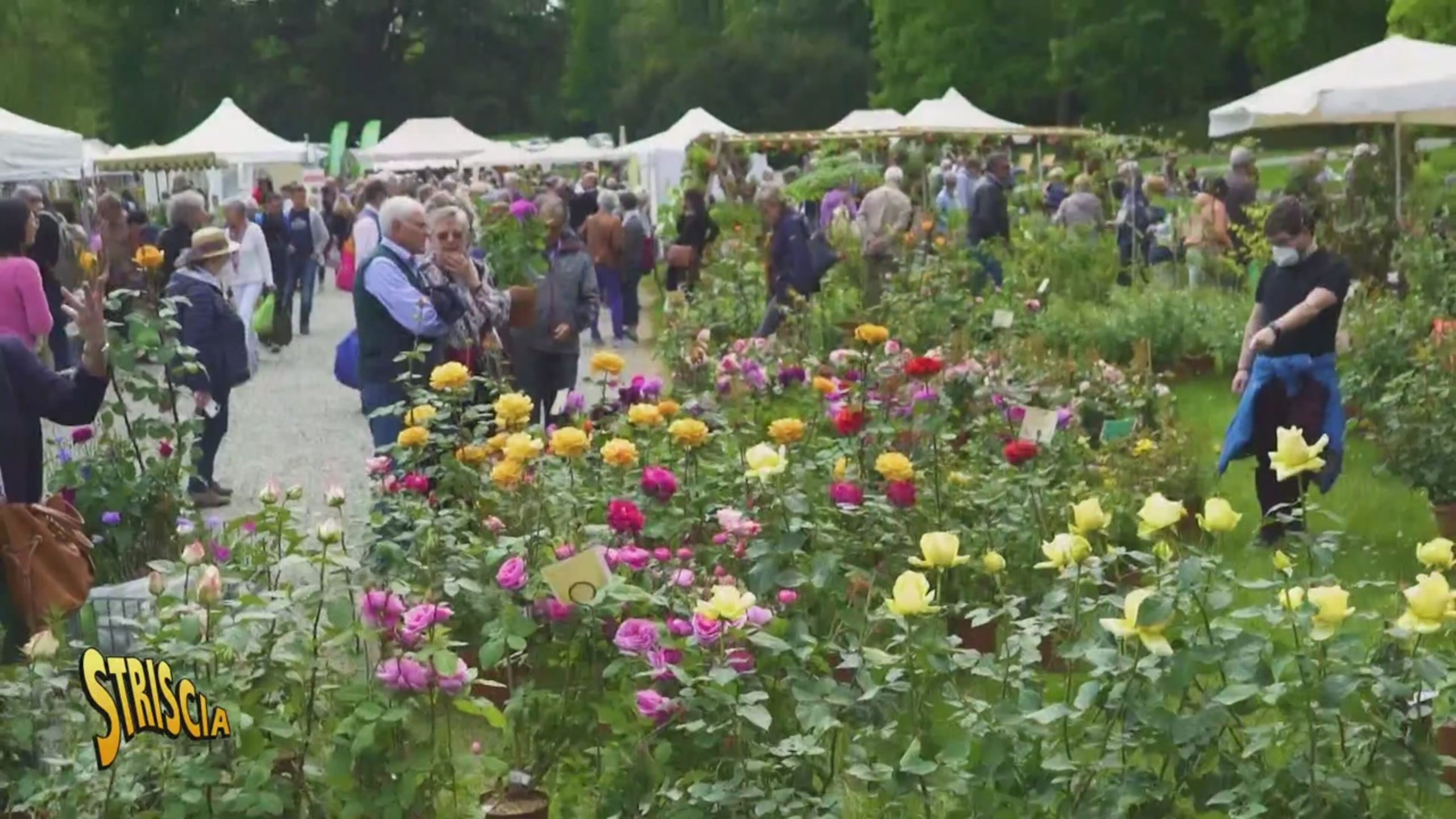 Castello di Masino (TO): “Il giardino possibile. Il tempo, la cura”