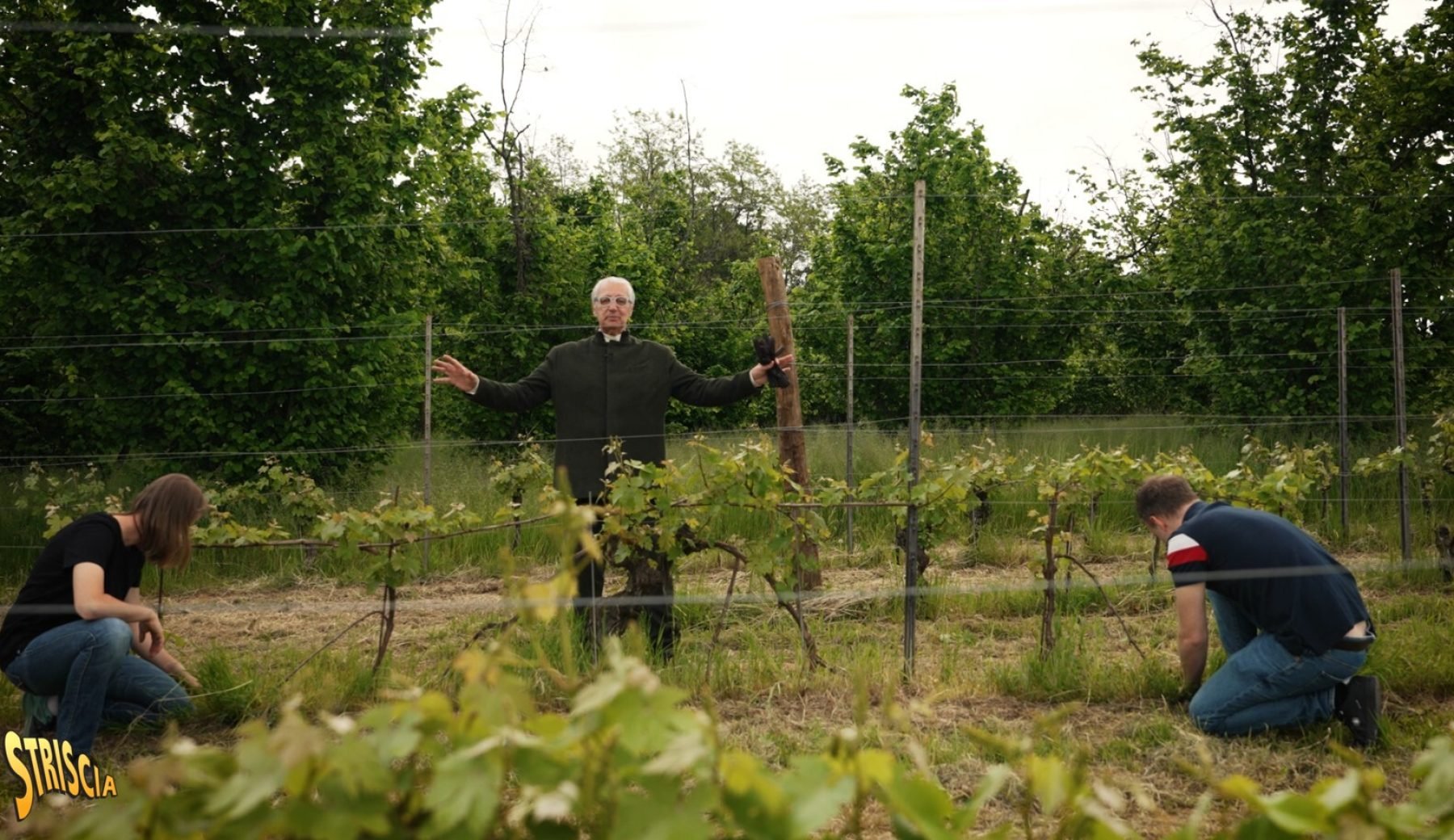 Questa sera a Striscia Davide Rampello e il “Dolcetto” delle origini nella rubrica “Paesi, paesaggi…”