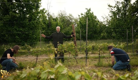Questa sera a Striscia Davide Rampello e il “Dolcetto” delle origini nella rubrica “Paesi, paesaggi…”