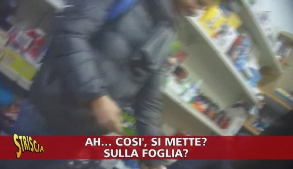 La noce di Betel: la noce che nuoce, vietata in Italia ma facilmente reperibile