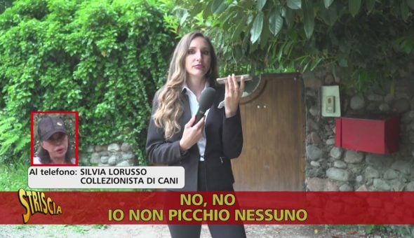 La carica dei 107 di Buguggiate (VA): un incubo senza fine