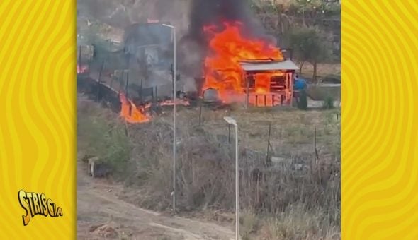 Orti sociali senza un goccio d'acqua a Catania: la comunità ha sete di rinascita, Petyx pungola le istituzioni