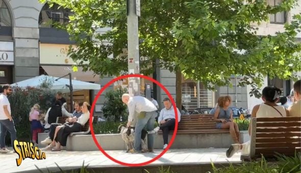 Come reagiresti se vedessi una persona che abbandona il proprio cane? L’esperimento sociale di Staffelli a Milano