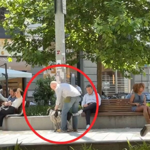 Nuovo esperimento sociale di Valerio Staffelli: come reagisce la gente davanti all’abbandono di un cane?