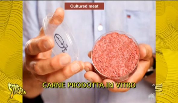 Occhio al futuro - Carne prodotta in vitro
