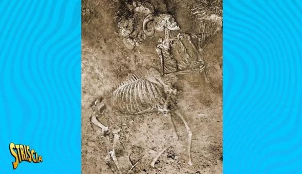 Fantarcheologia: il Centauro è veramente mai esistito? Tra mito e realtà