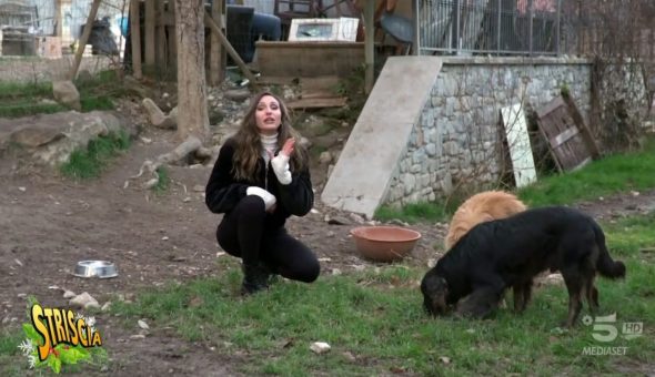 La Casa Selvatica, il rifugio colpito dall’alluvione, è ancora in difficoltà. Donazioni aperte per dare una casa a cani e gatti ospitati