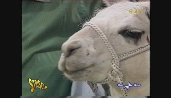 Il lama finisce in Tibet