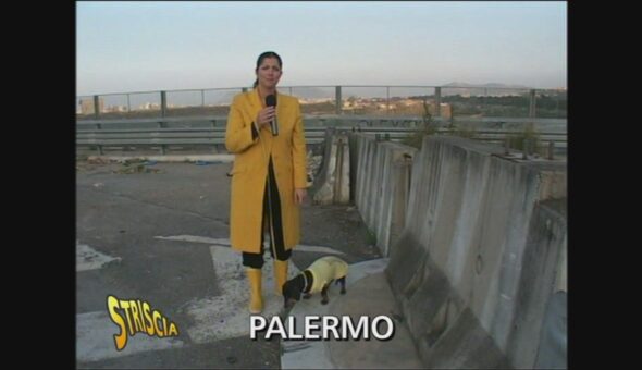 Malaviabilità