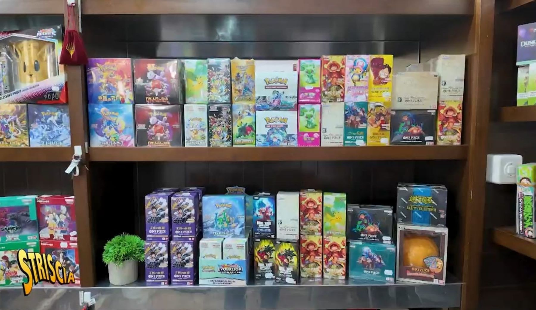 Le truffe intorno alle carte Pokémon: un fenomeno in espansione ed allarmante